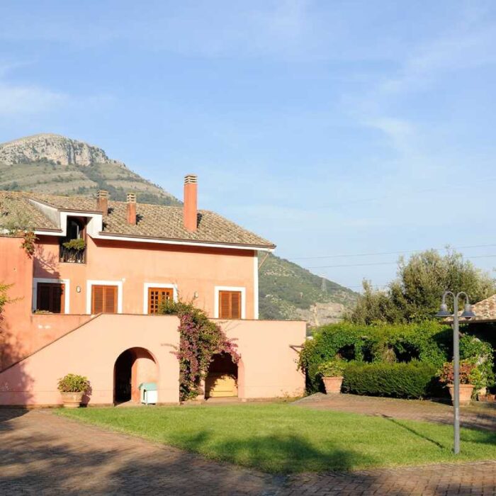 Nuovo progetto - 2025-03-14T190712.142 Mila Vuolo