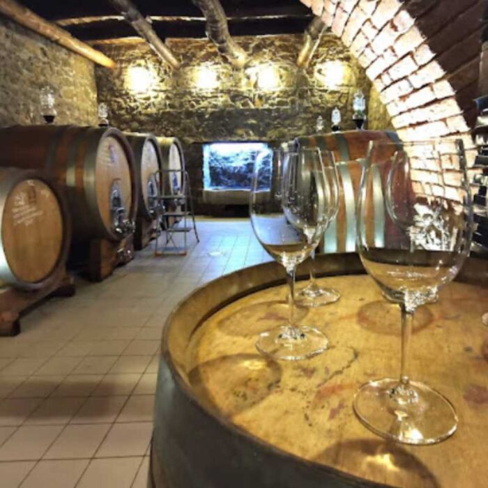 Nuovo progetto - 2025-03-14T191134.029 Magnoni