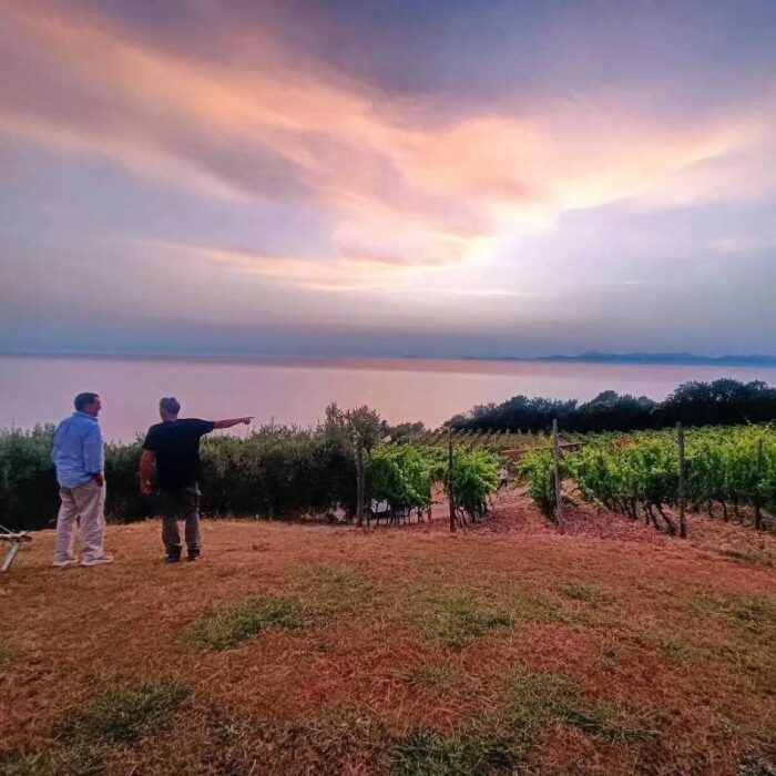 Nuovo progetto - 2025-03-14T191352.884 San Giovanni